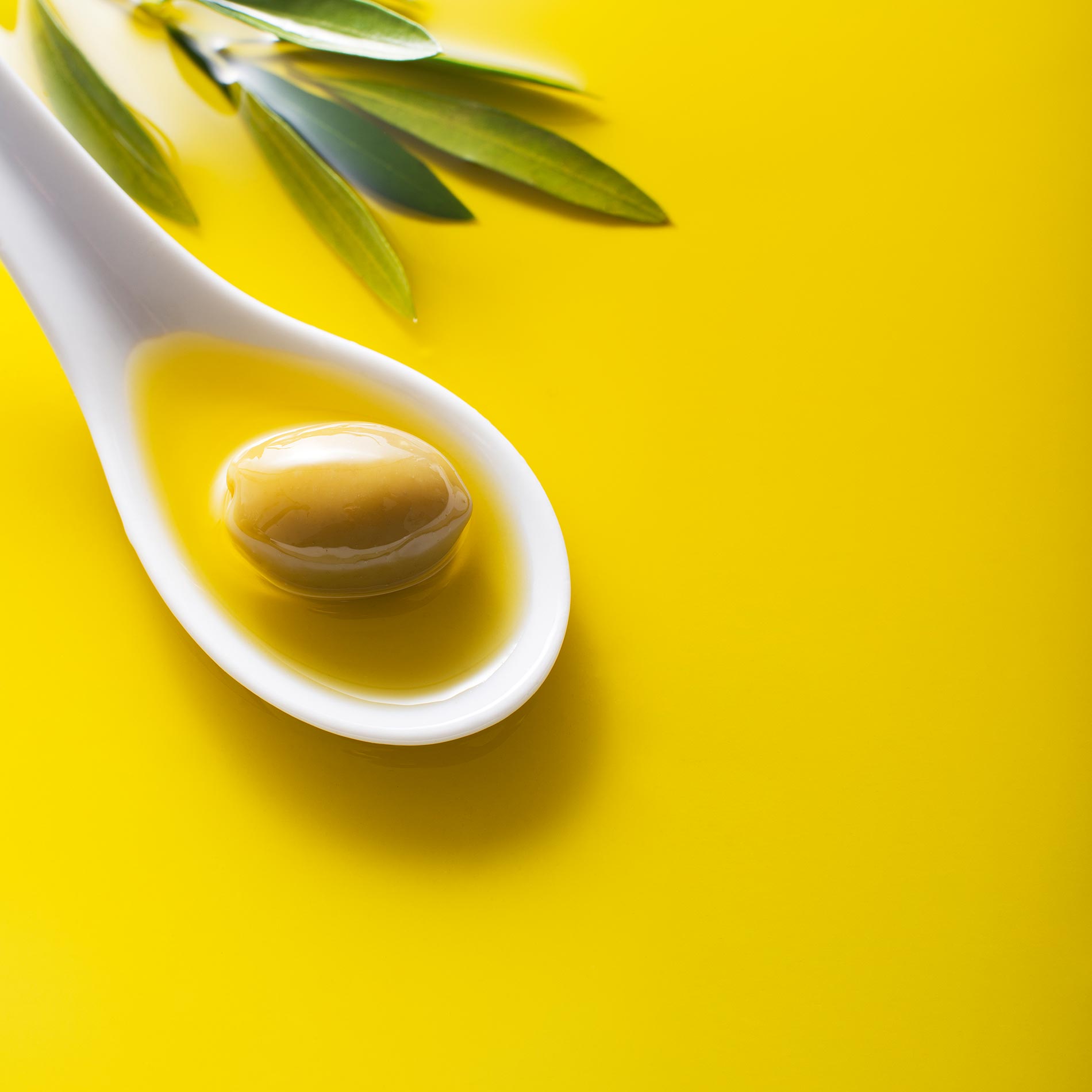 Olivenöl lagern – so bleibt es lange frisch - Gustinis Feinkost Blog